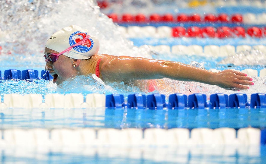 Cassidy Bayer Butterfly