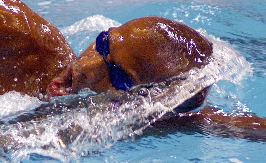 Sabir Muhammad - 2000 Trials