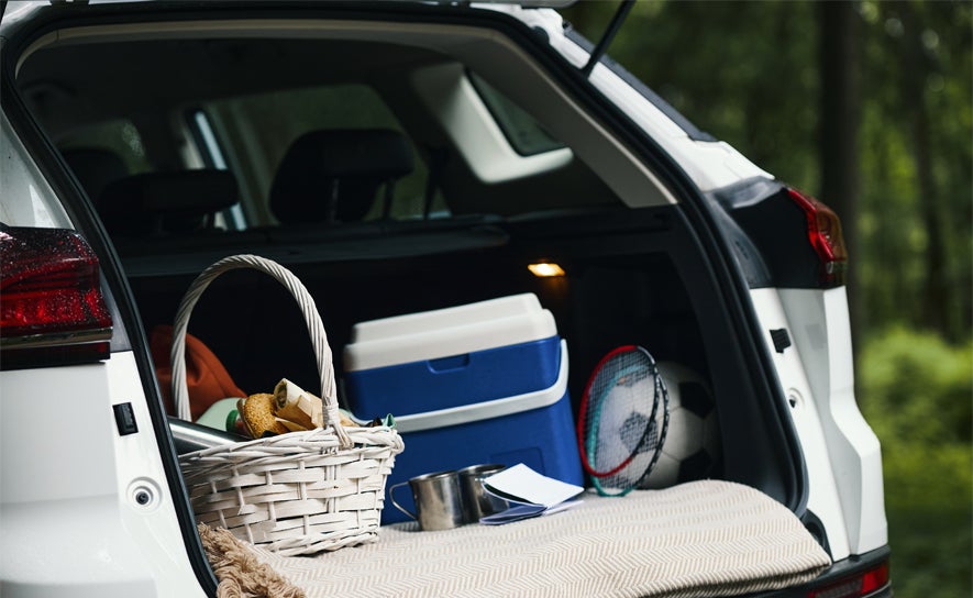 Cooler in a Trunk