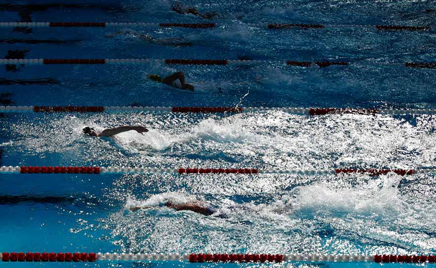 Female Freestyle Swimmers