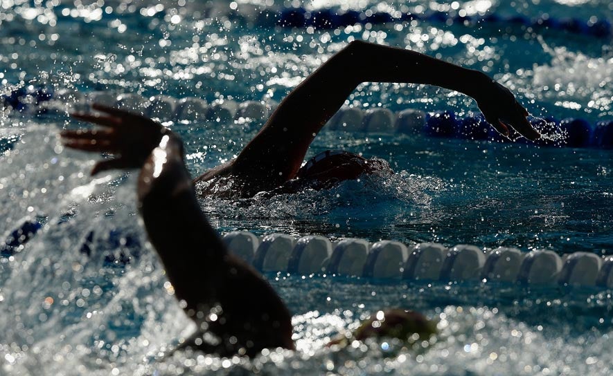 Freestyle Swimmers Silhouette