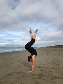 Fox on beach