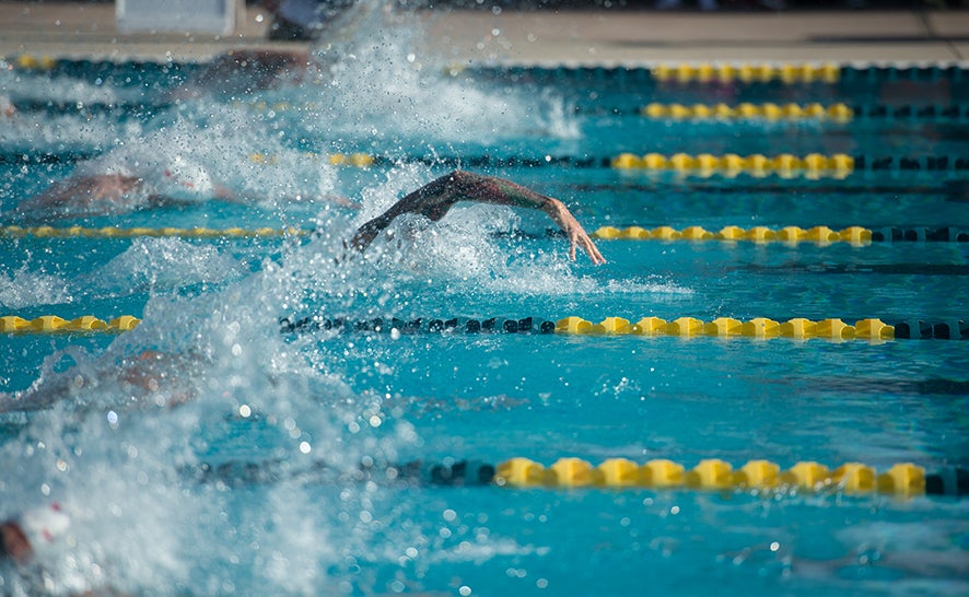 safe sport usa swimming