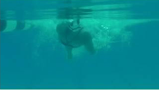 backstroke overrotation2