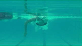 freestyle overrotation3