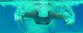 underwaterfly4 underwaterfly4