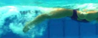 underwaterfly6 underwaterfly6